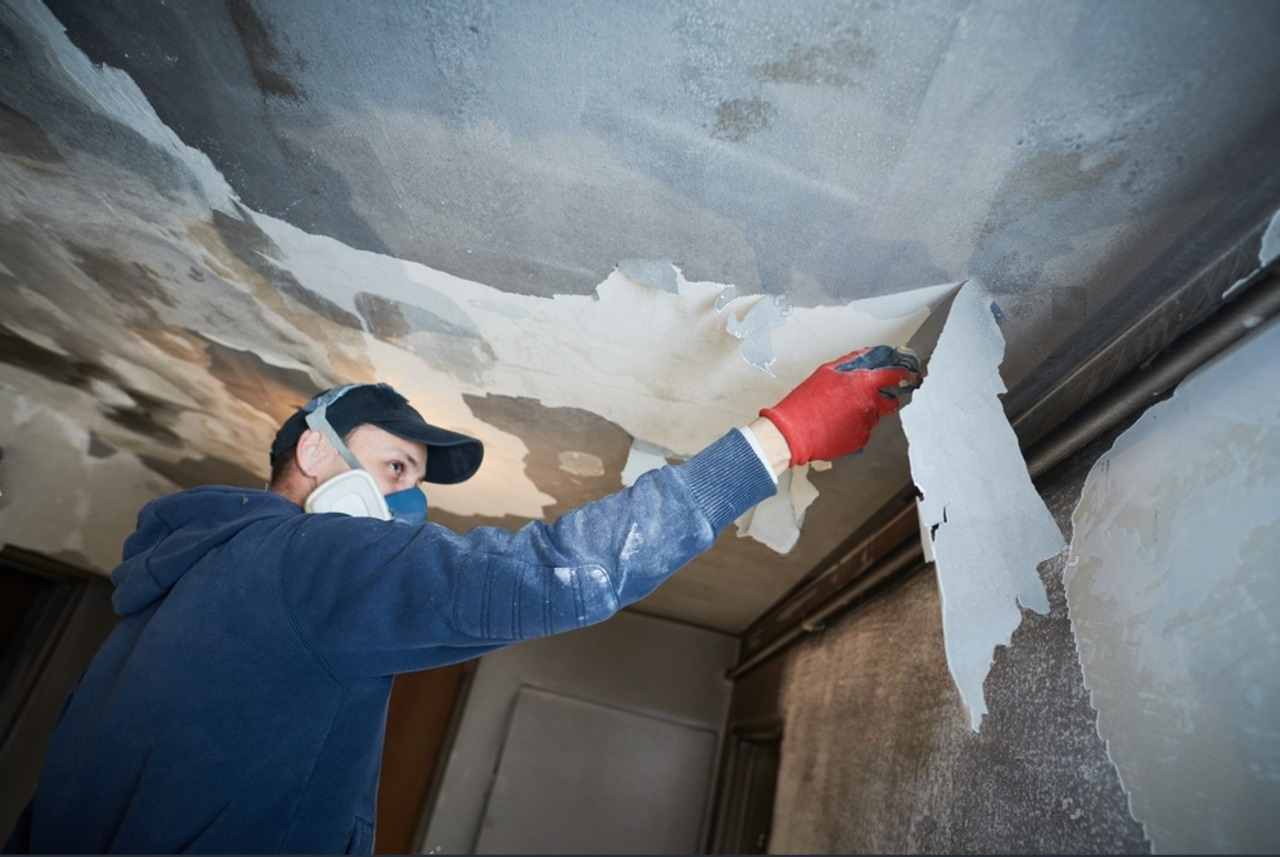 Professional Water Damage Restoration