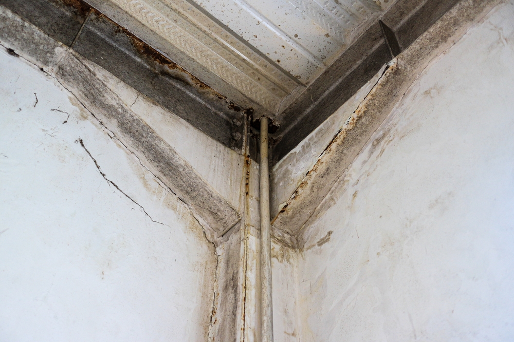 A Close-up Shot Of A Corner Of A Room Showing Signs of Water Damage