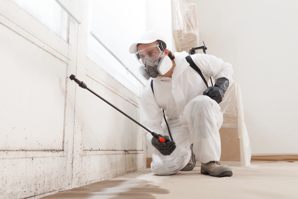 Preventing Mold Growth