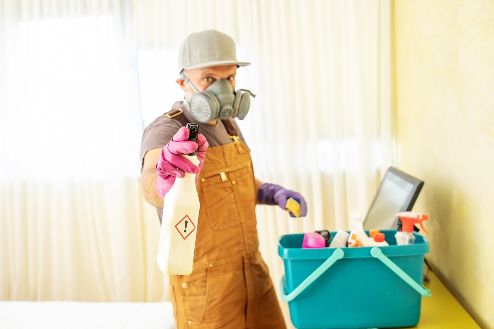 Professional Mold Remediation