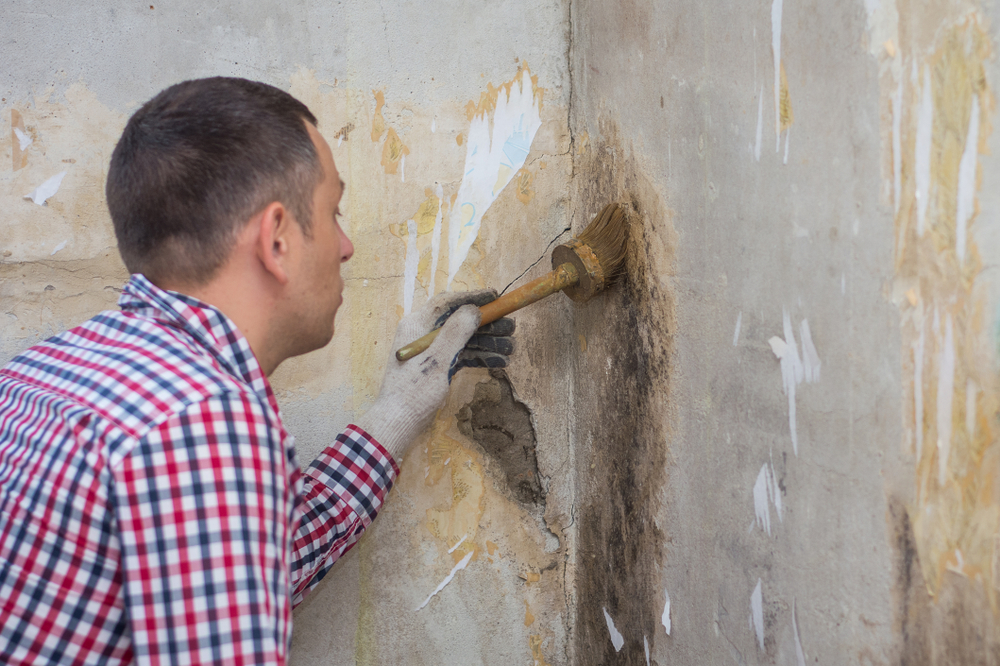 Mold Prevention