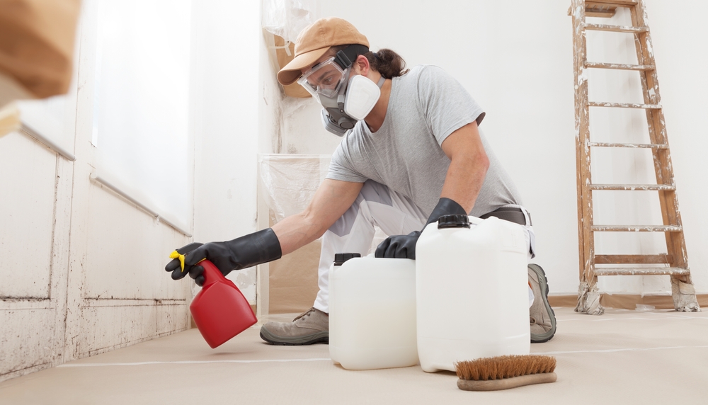 Professional Mold Remediation