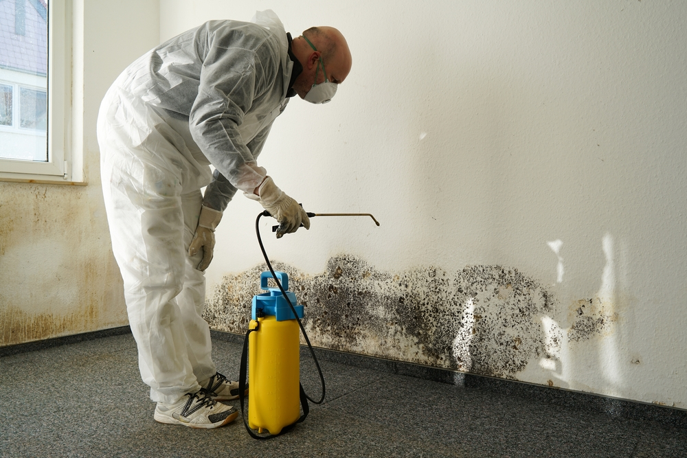 Health Risk Associated with Mold Exposure