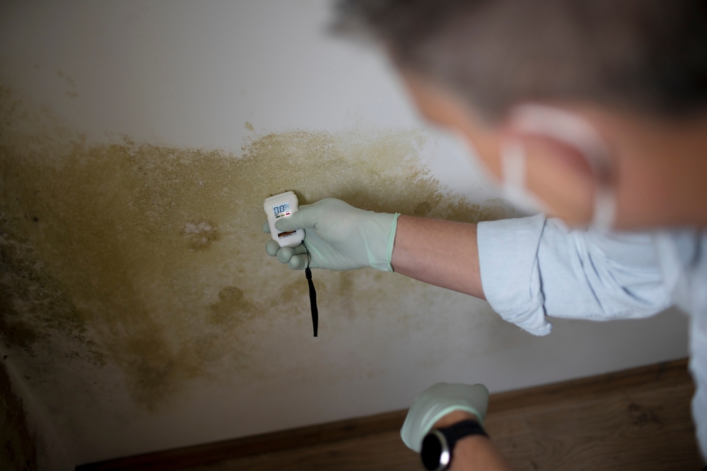 Mold Due to Water Damage