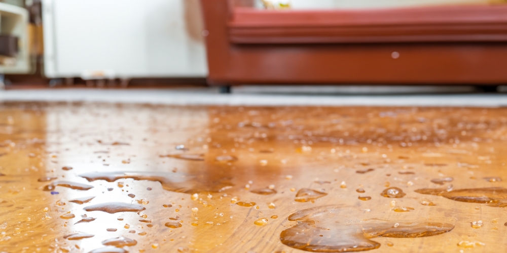 Water Damage on Hardwood Floor